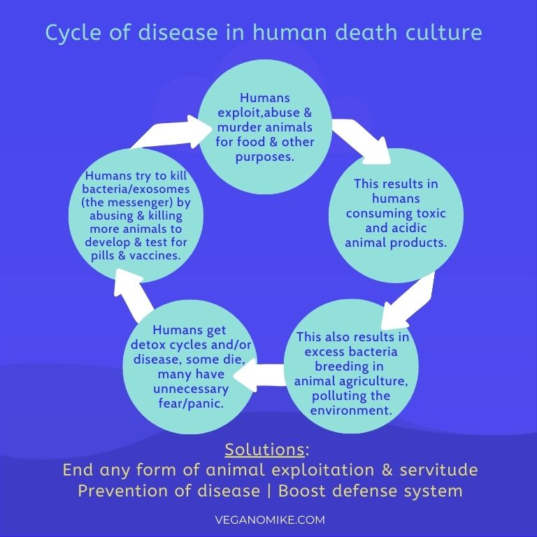Cycle of death culture